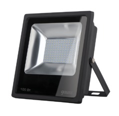 Прожектор светодиодный Gauss LED 100W 6900lm IP65 6500К черный 1/14